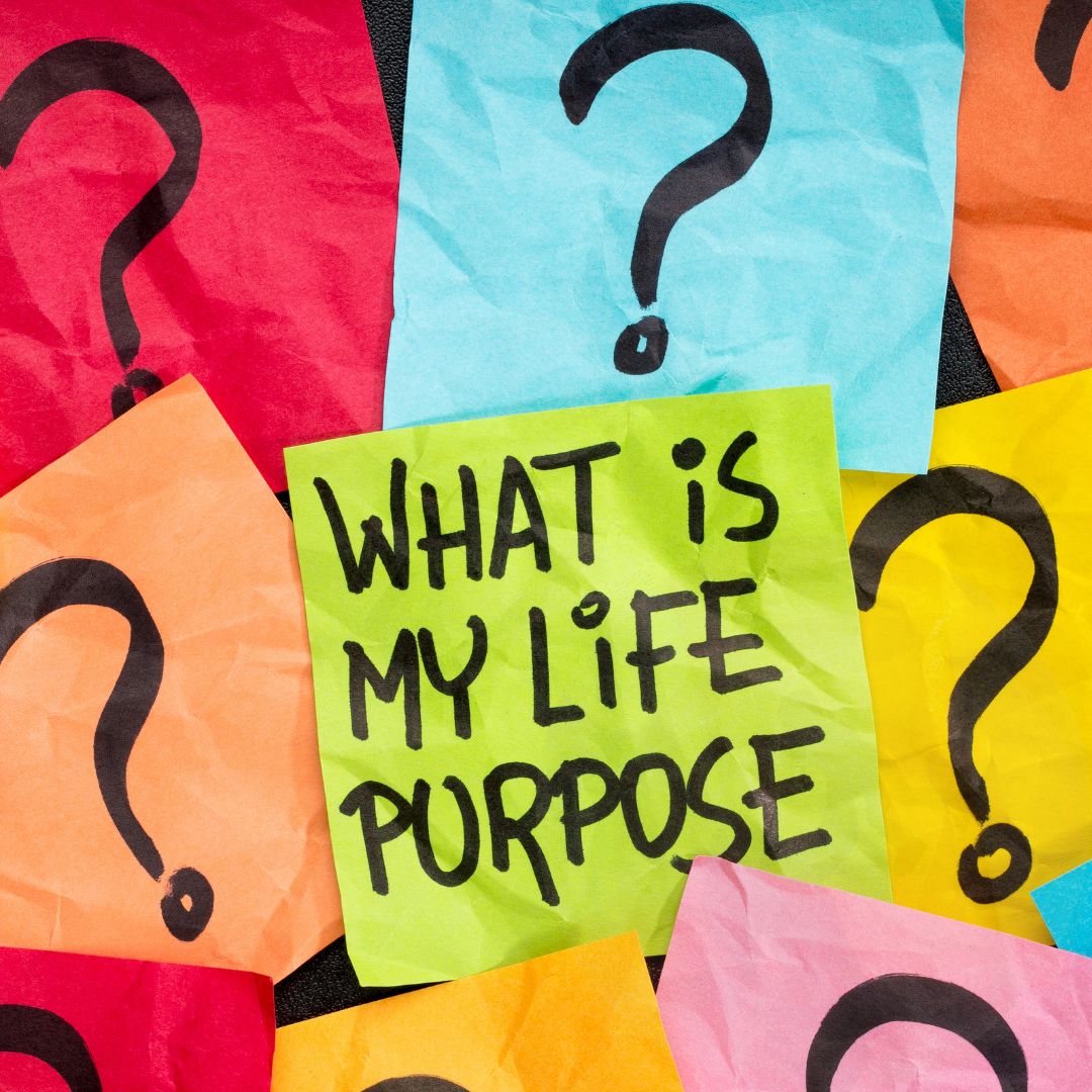 Quel est le sens de la vie ? Jeanne Puljer