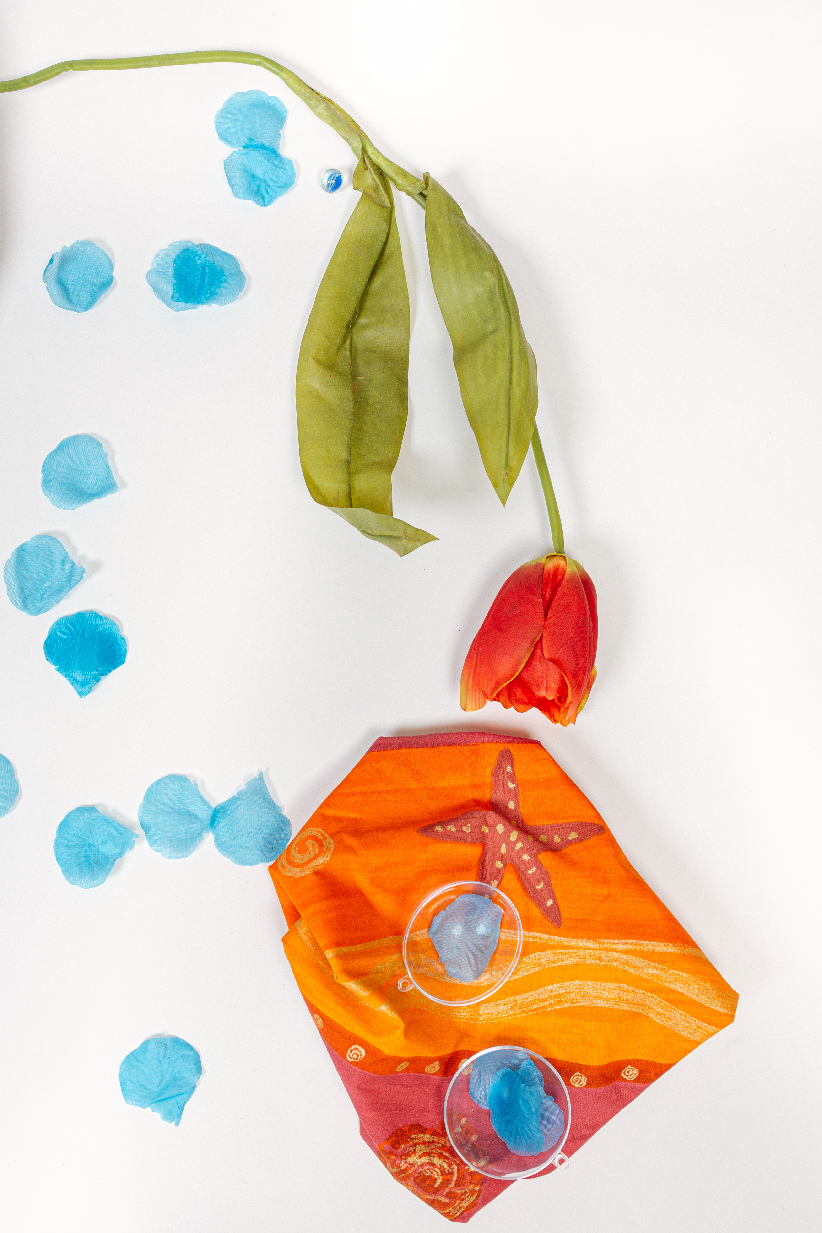 ovaire - sympt'holistic