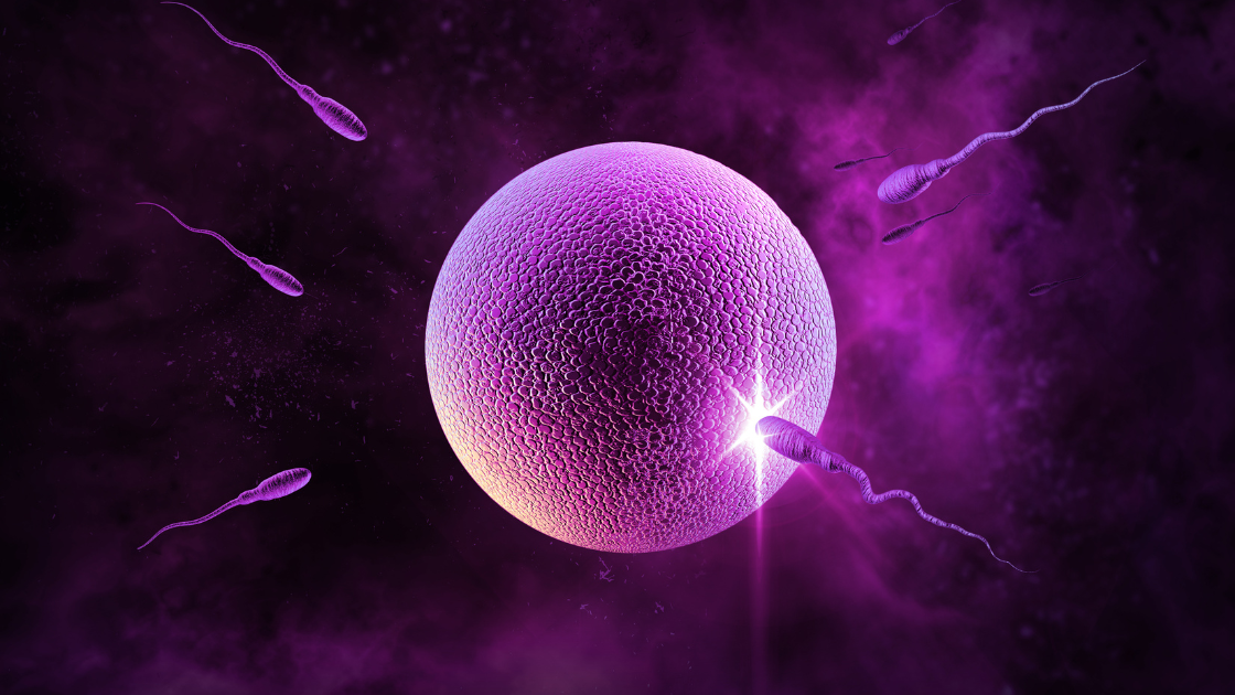 La symptothermie, une contraception ?